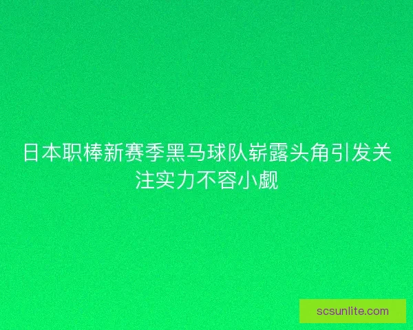 日本职棒新赛季黑马球队崭露头角引发关注实力不容小觑